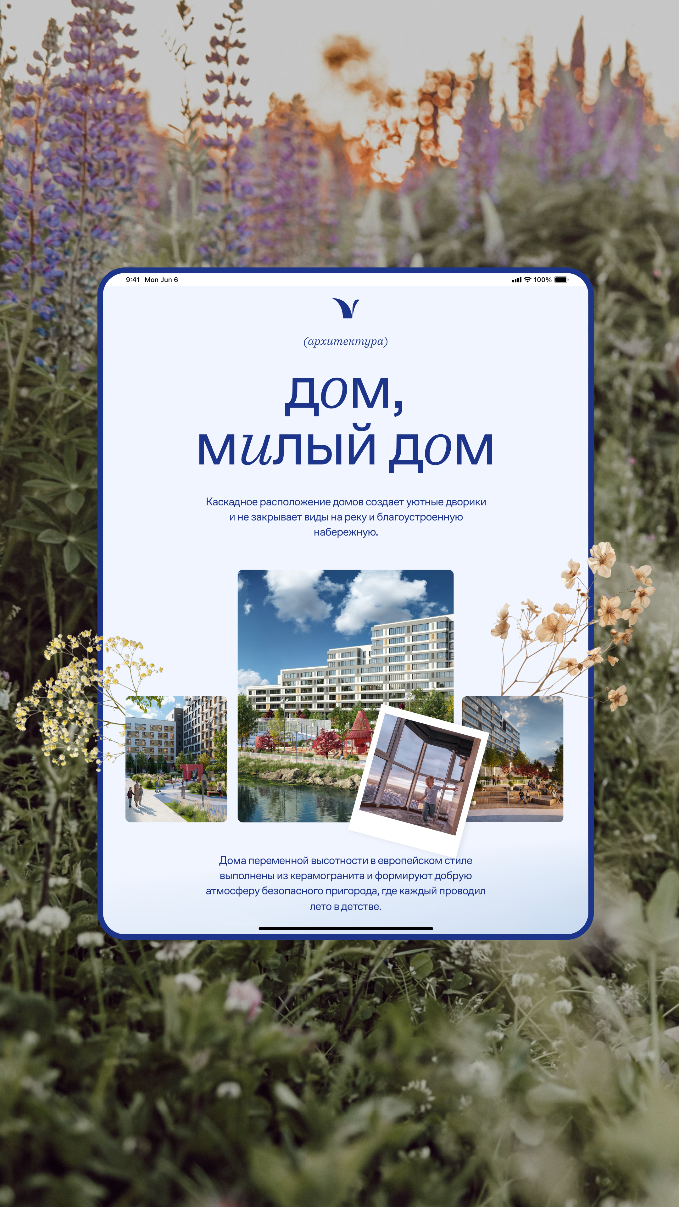 История специалиста Синий муравей