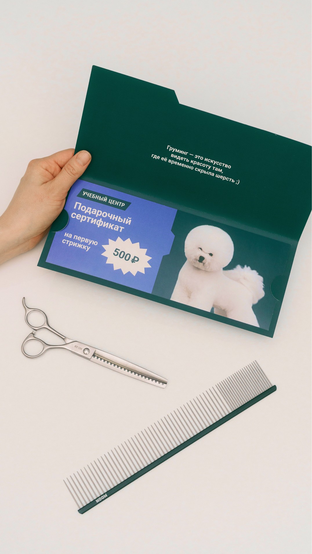 История специалиста ТОМАТ