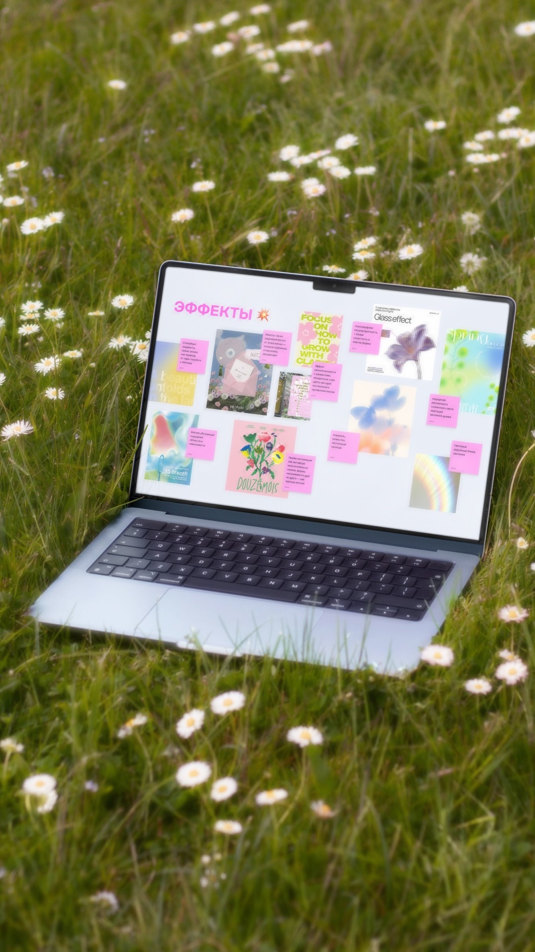 История специалиста ТОМАТ