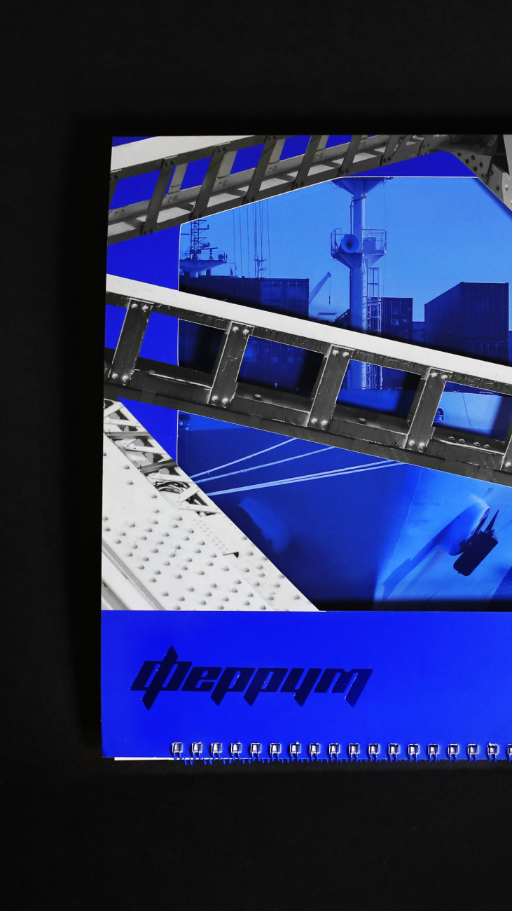 История специалиста noema