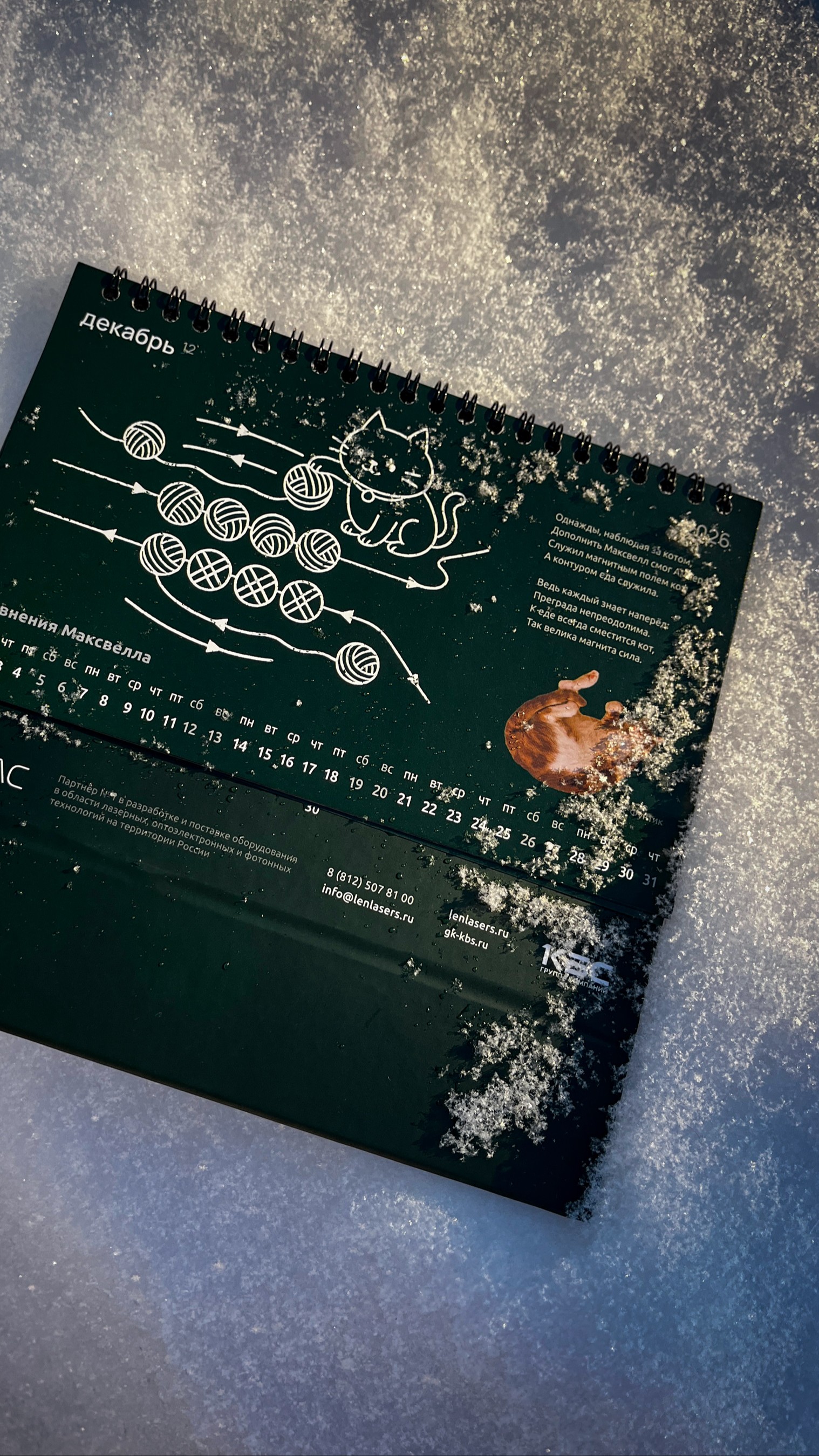 История специалиста Антон Пишун