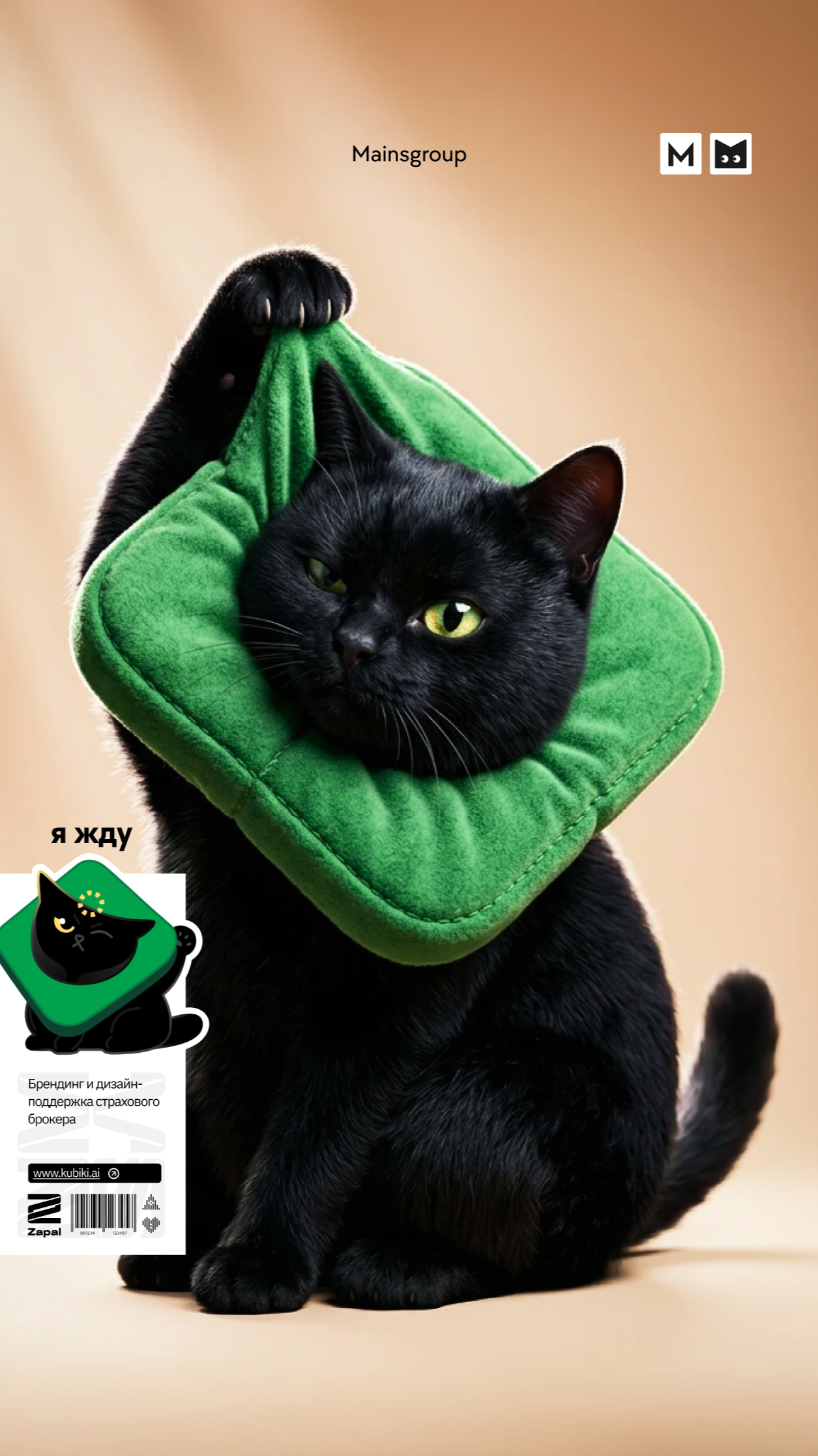 История специалиста Zapal