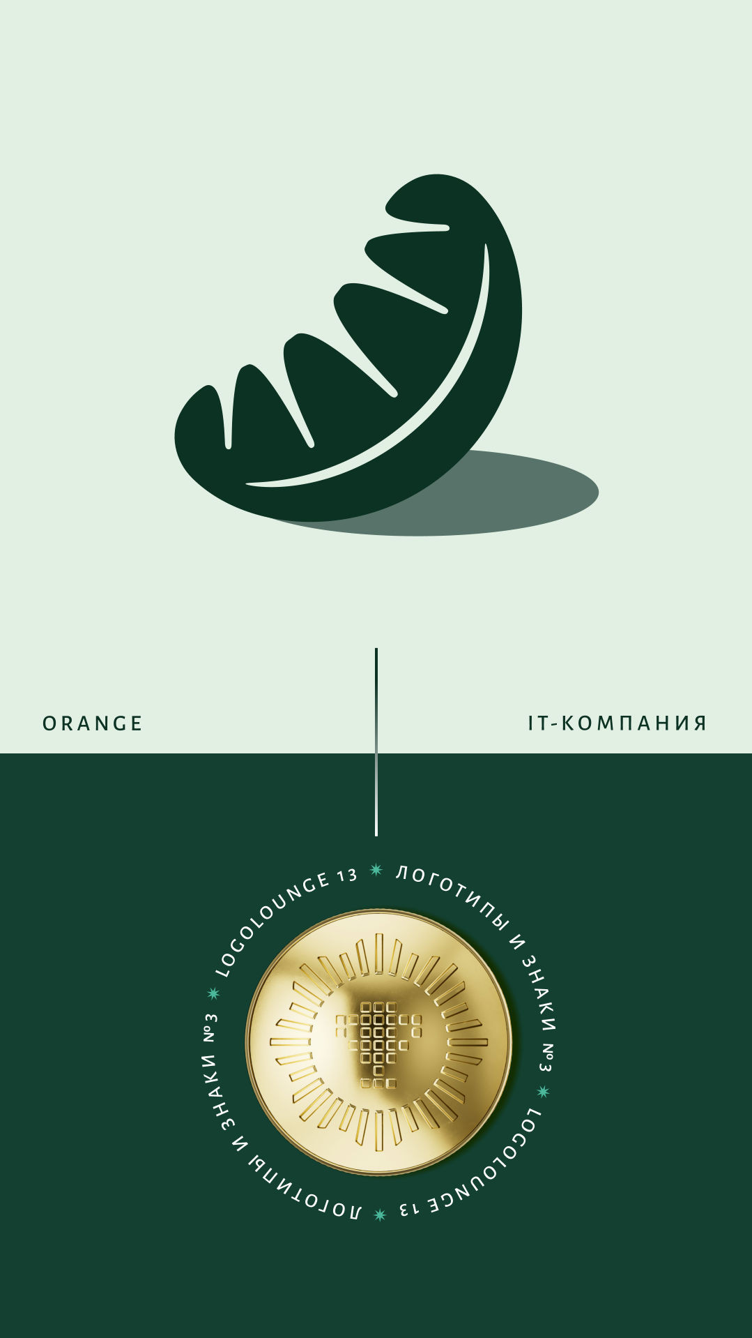 История специалиста Юрий Акулин