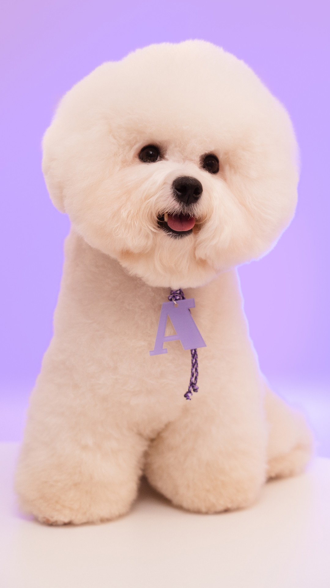 История специалиста ТОМАТ