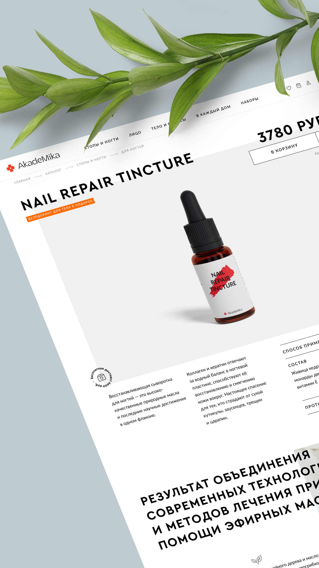 История специалиста nikitakozin.com