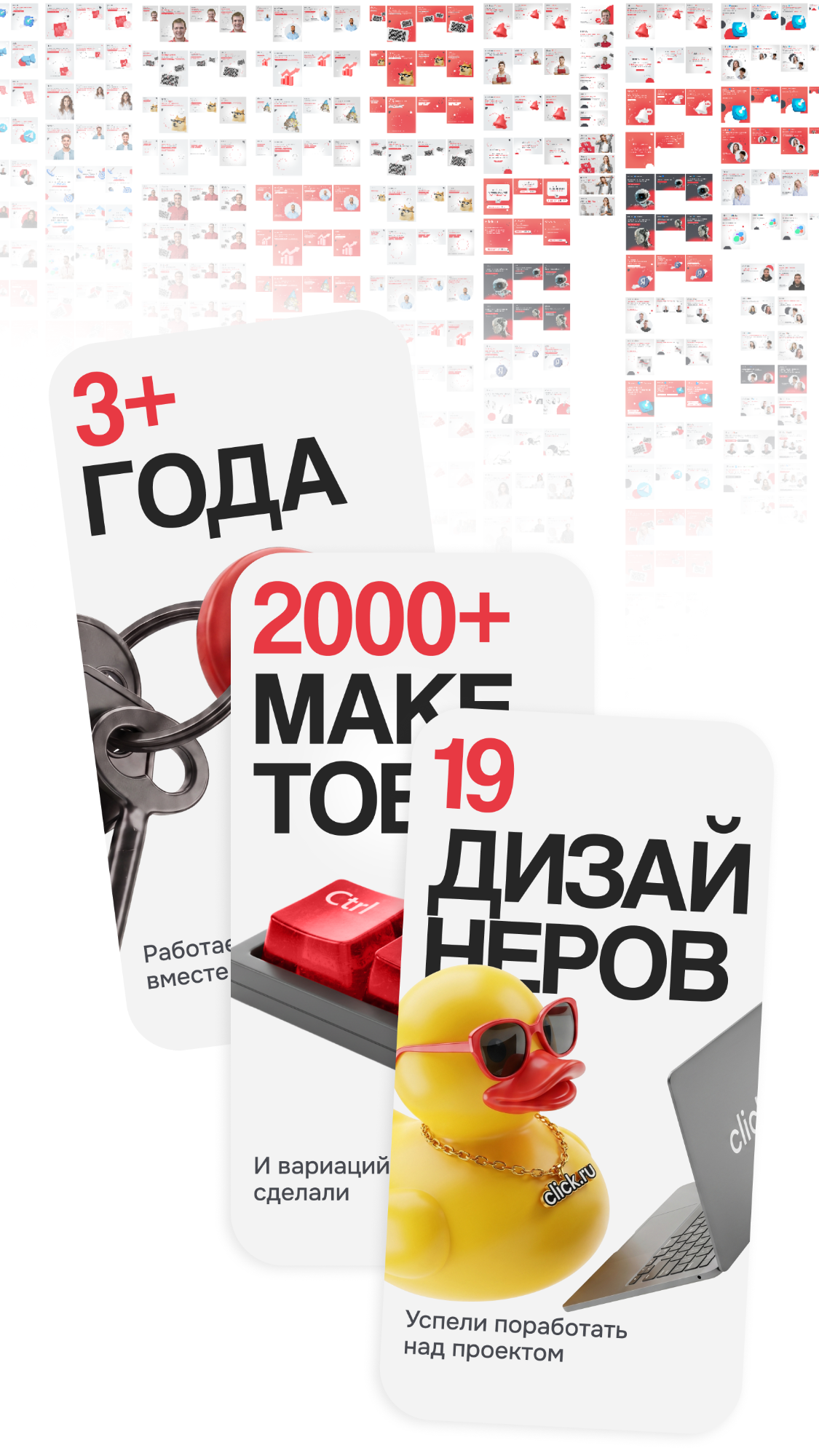История специалиста SLOY