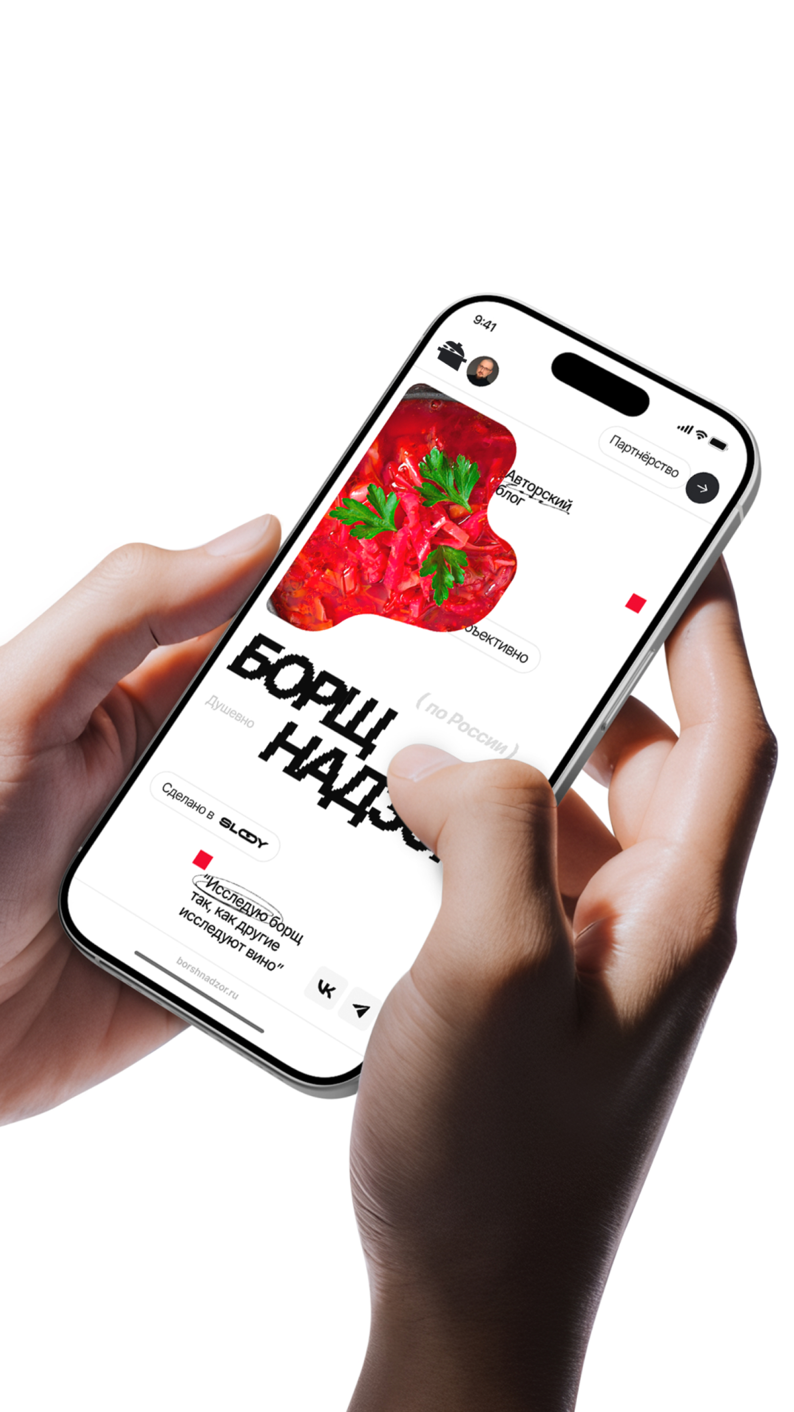 История специалиста SLOY