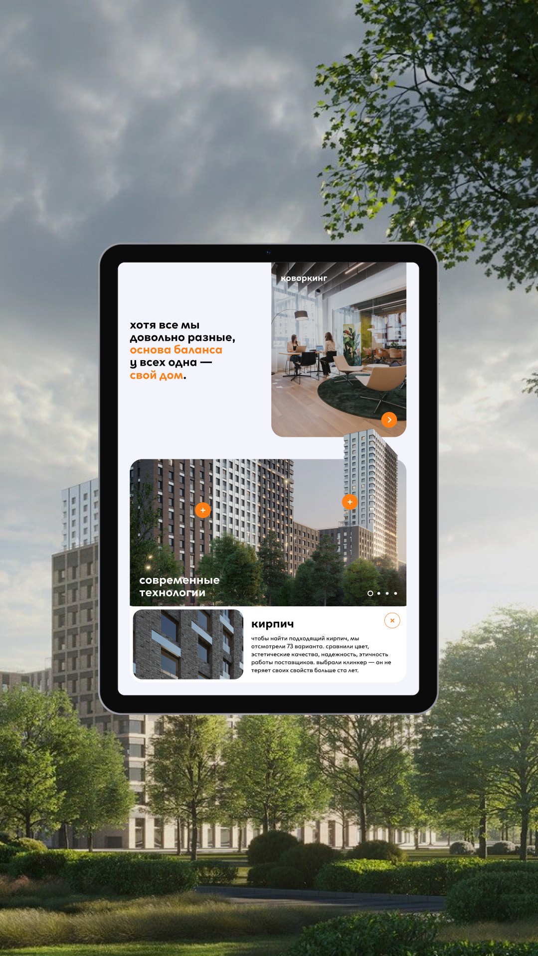 История специалиста Синий муравей