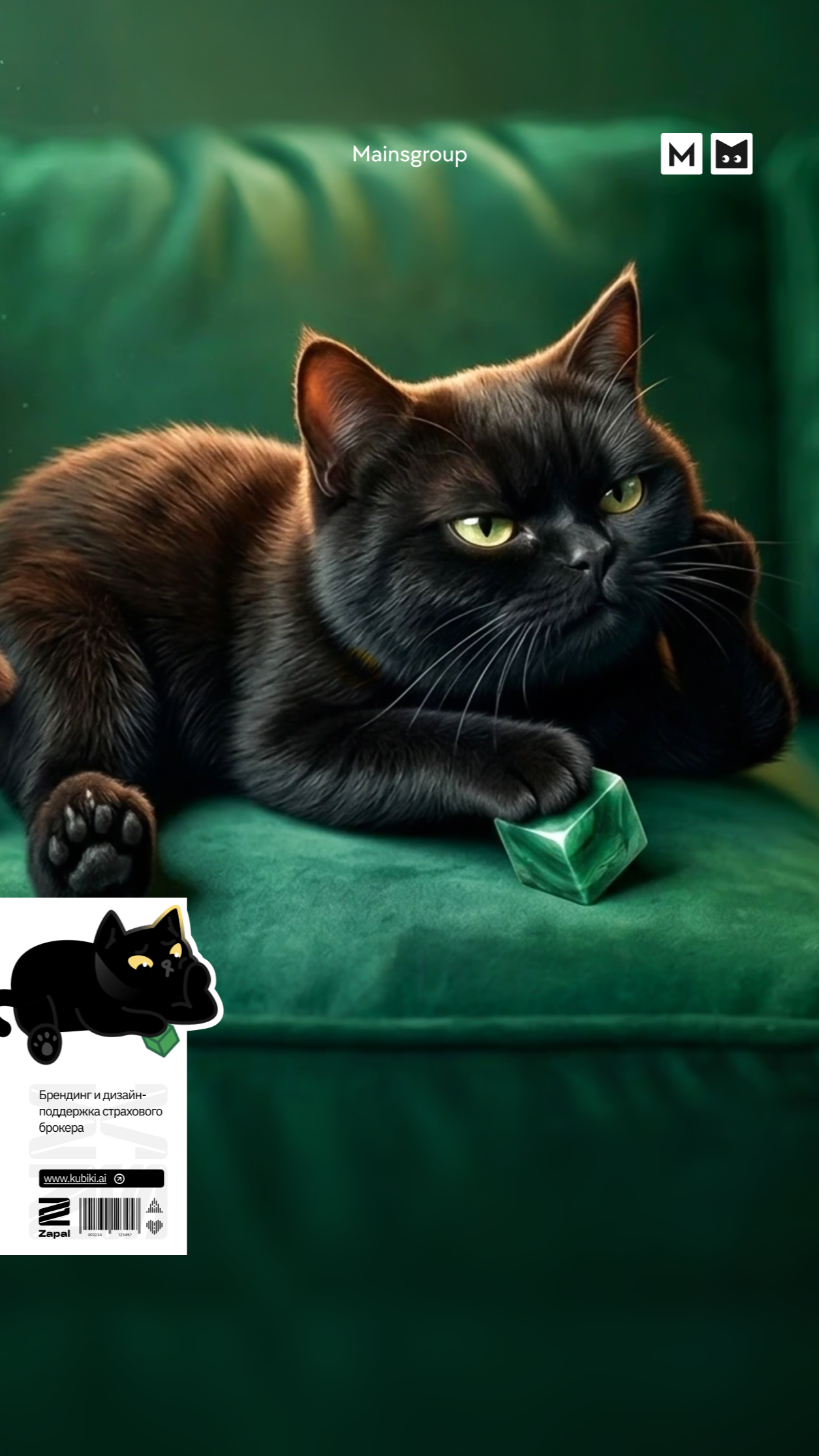 История специалиста Zapal