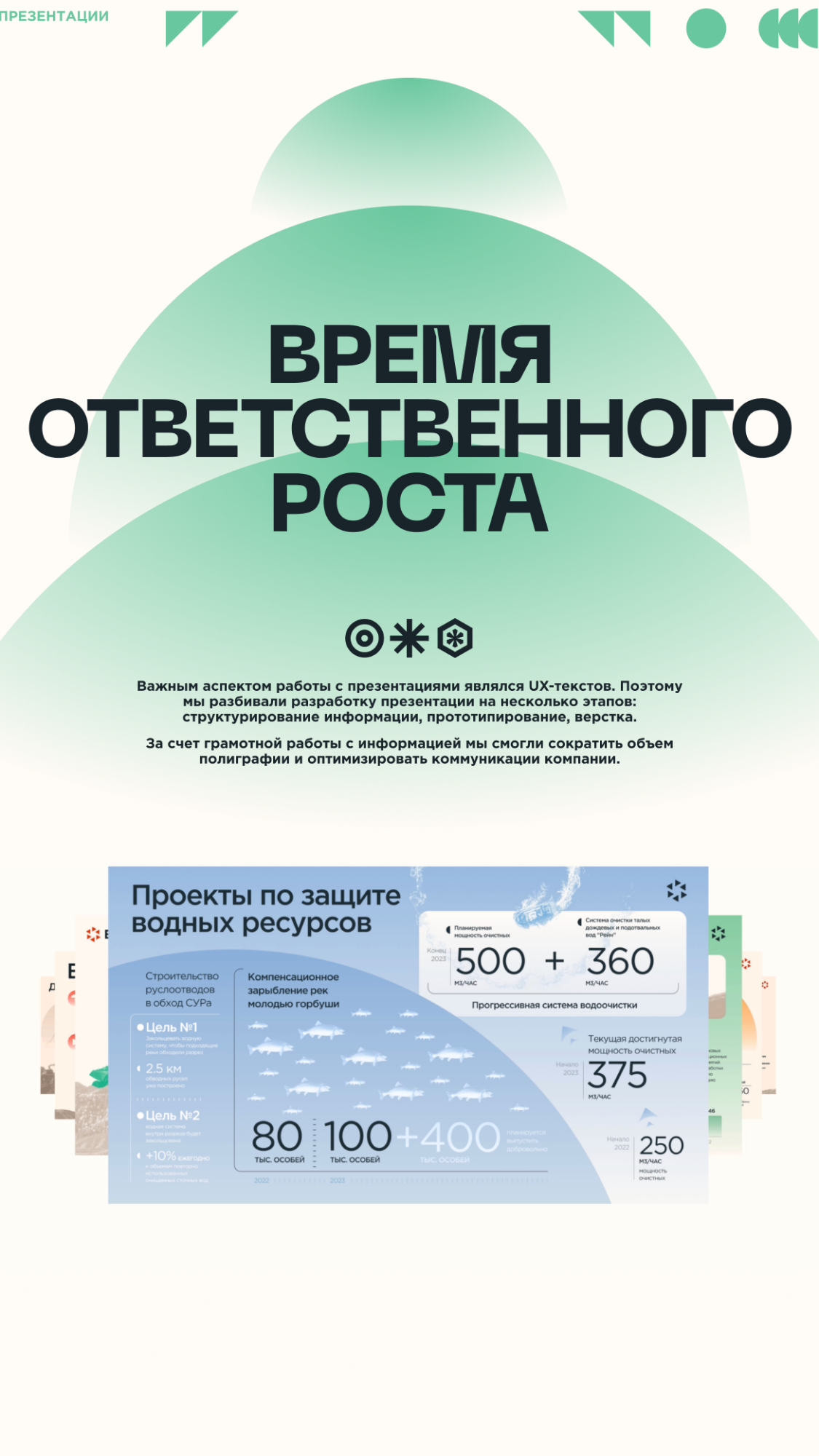 История специалиста Zapal