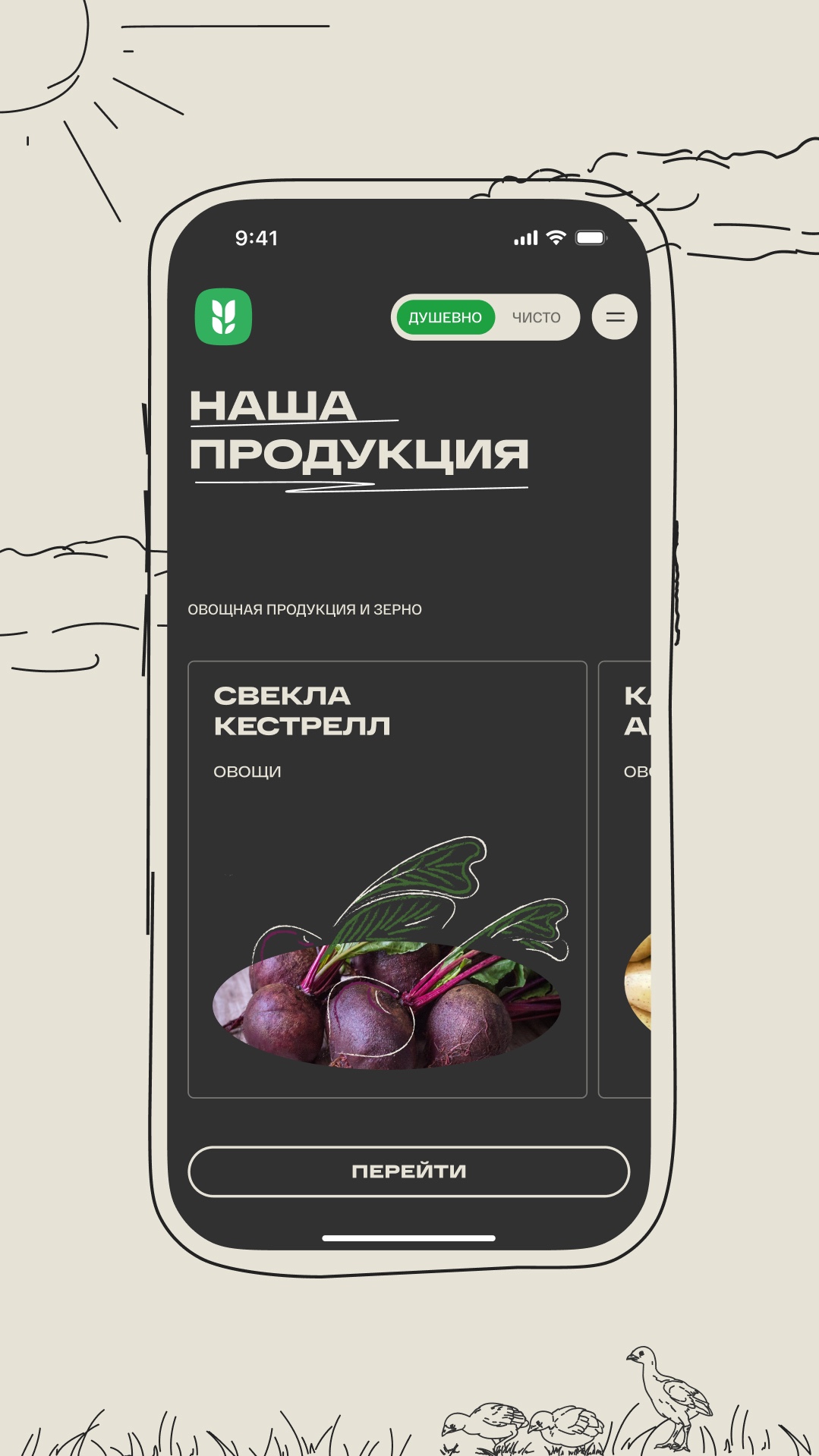 История специалиста И́рек Гимадеев