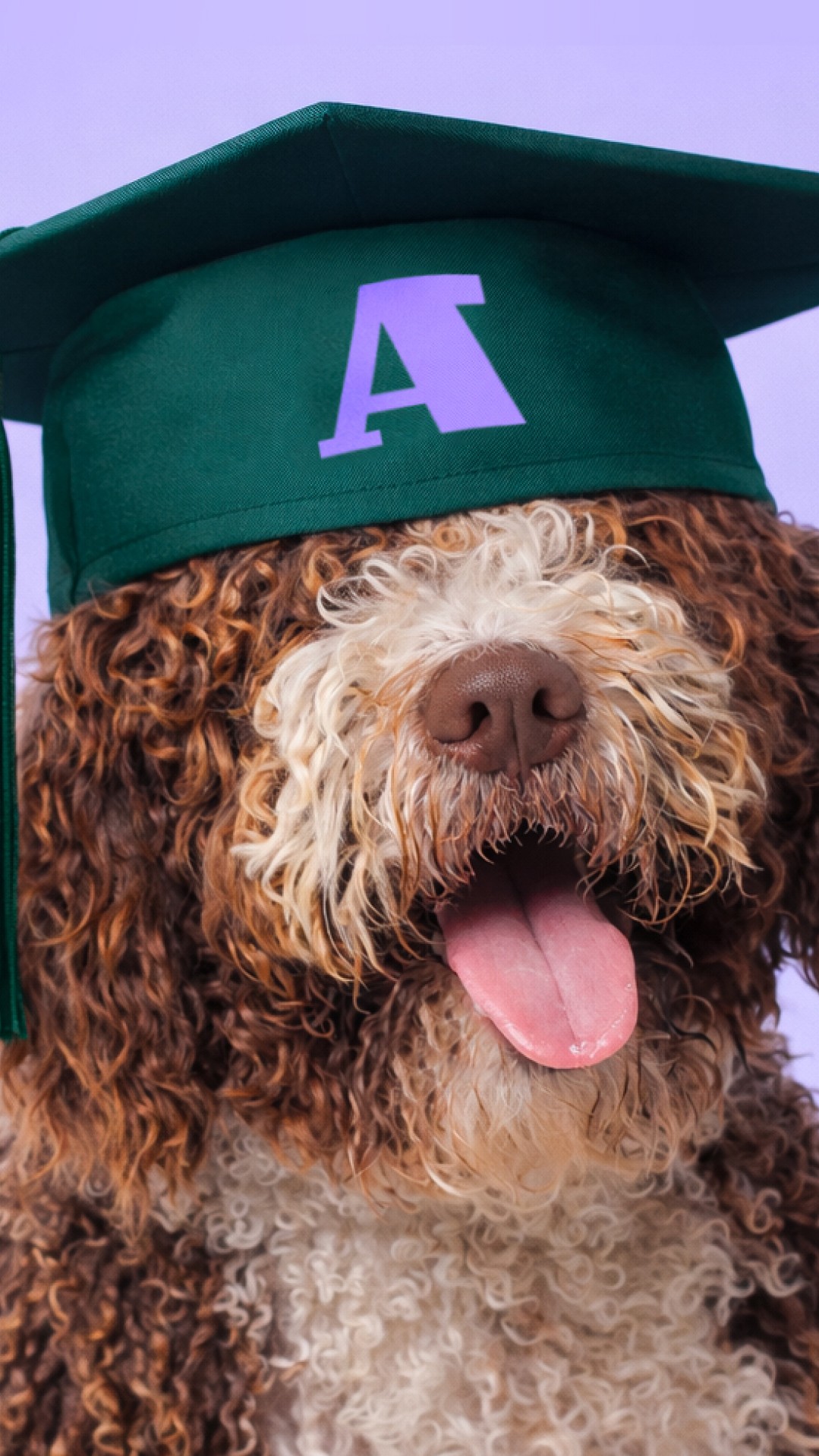 История специалиста ТОМАТ