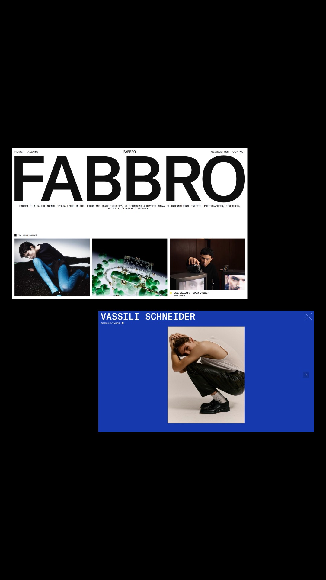 История специалиста Evgeniy Misyukov