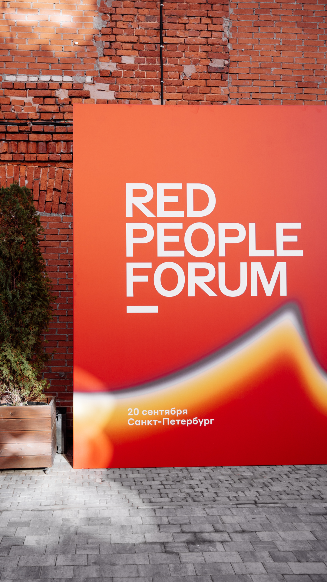 История специалиста SUETA.TEAM