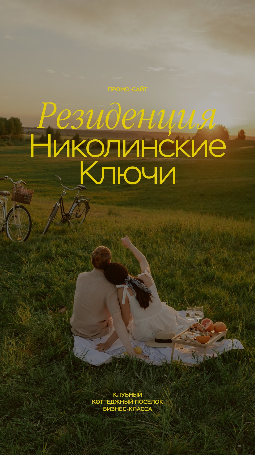 История специалиста Синий муравей
