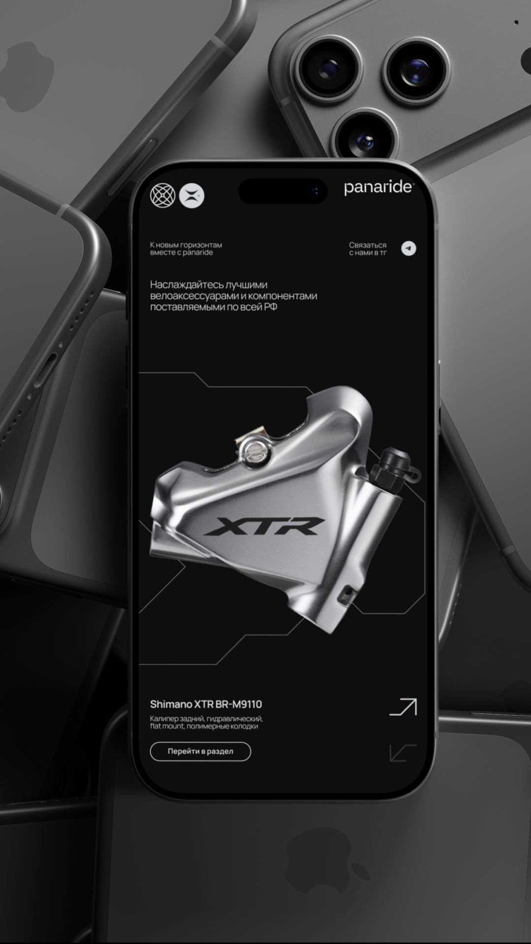 История специалиста Станислав Хацкевич