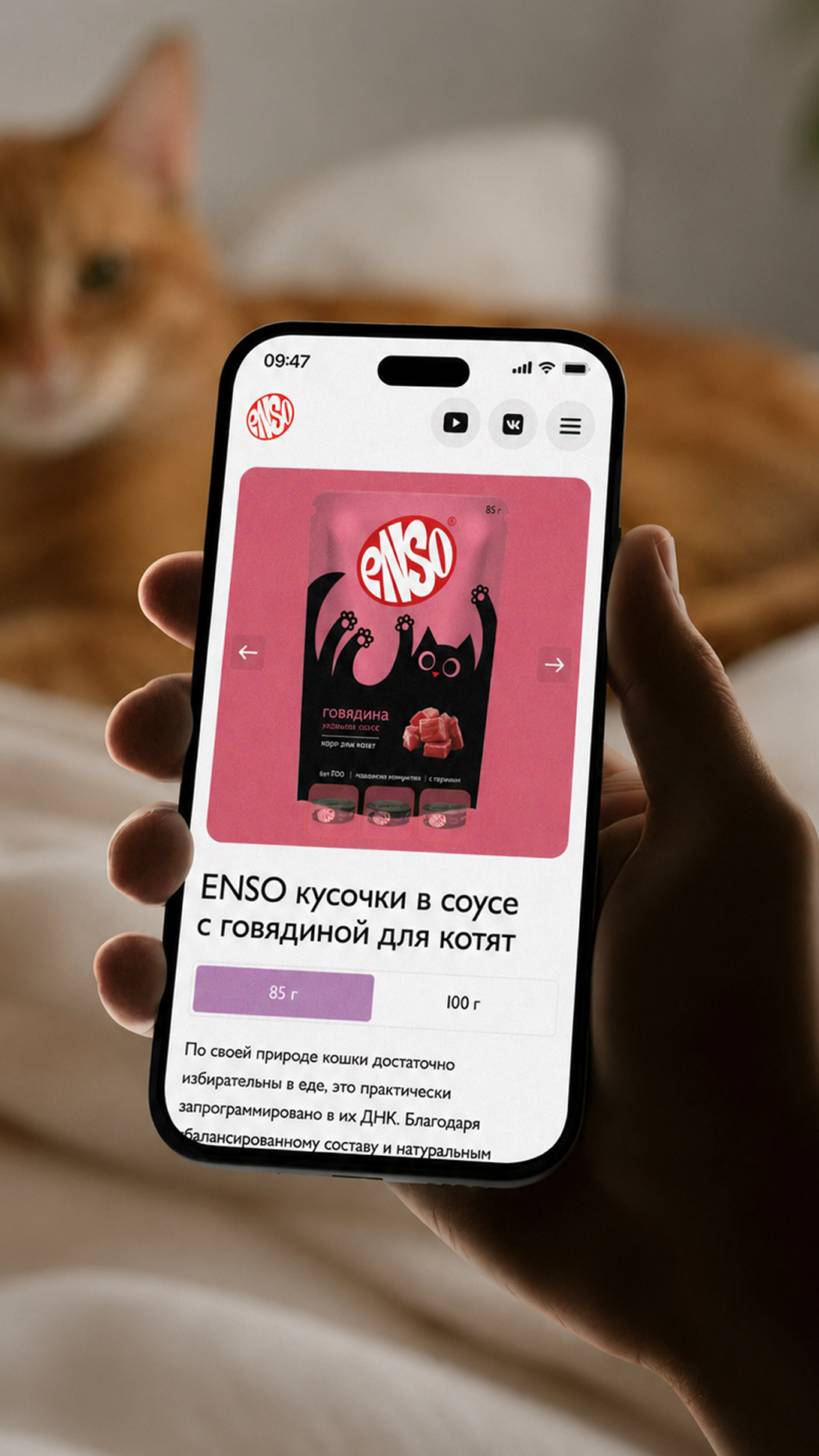 История специалиста nopreset