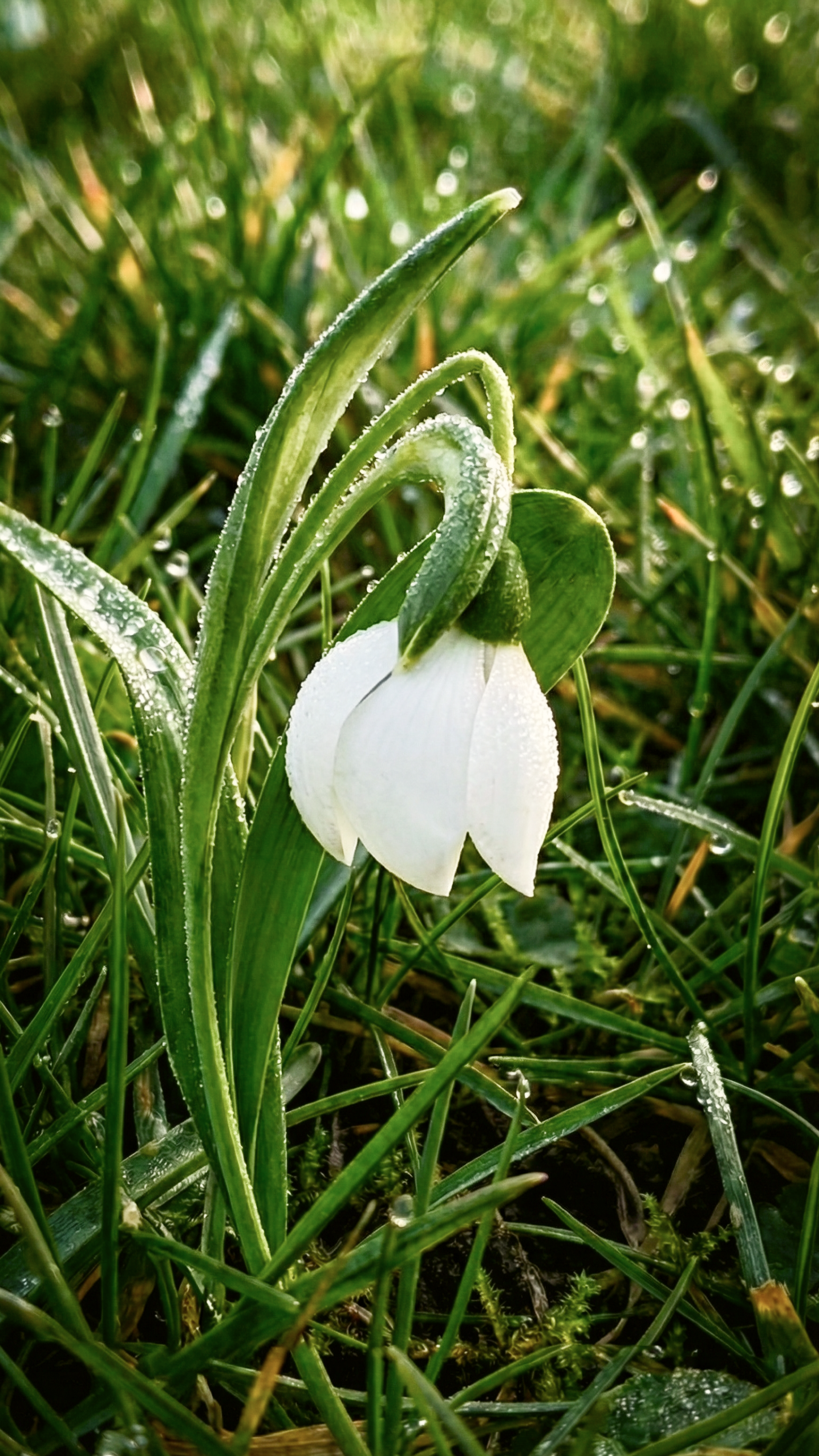 История специалиста SUETA.TEAM